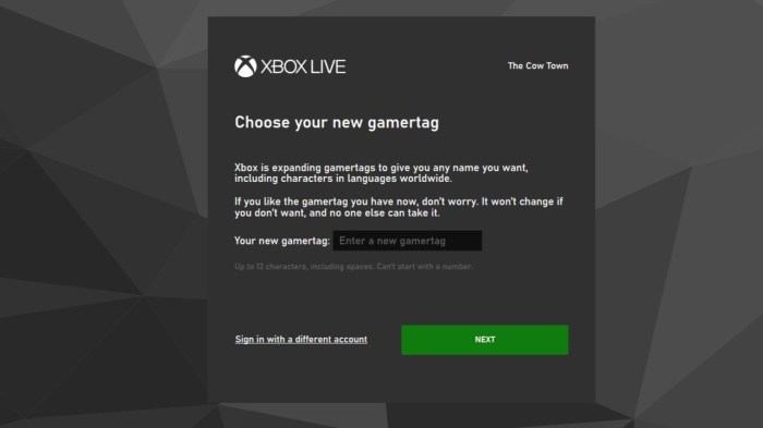 How to change my gamertag