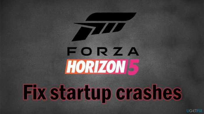 Forza 5 crashes on startup