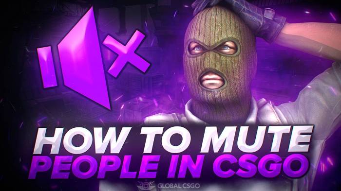 How to mute people on csgo