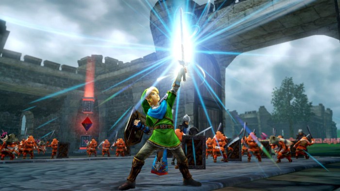 Hyrule warriors for wii u