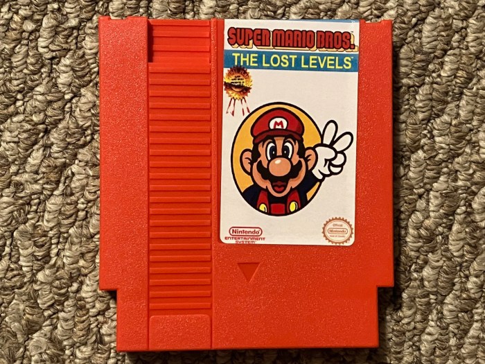 Bros levels mario lost super