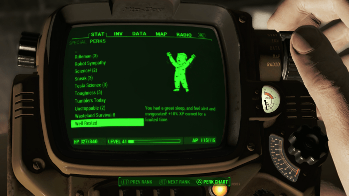Fallout 4 lover's embrace