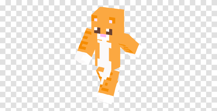 Minecraft orange cat skin