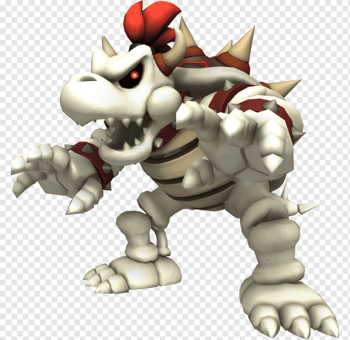 Dry bowser vs dry bowser