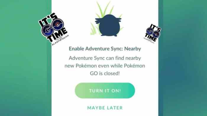 Adventure sync not working