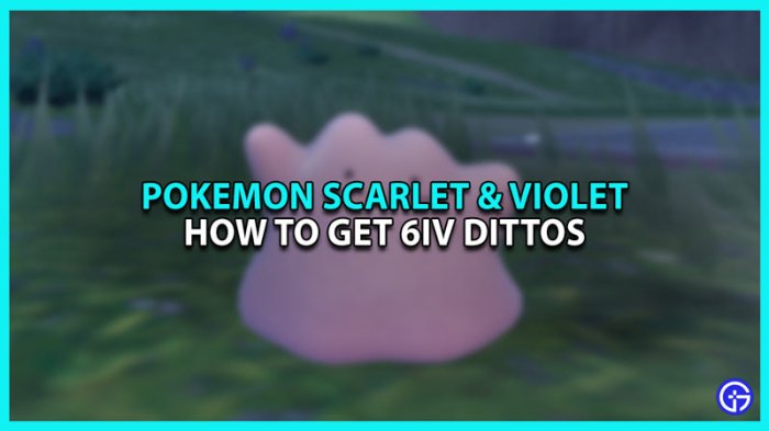 How do you get a 6iv ditto