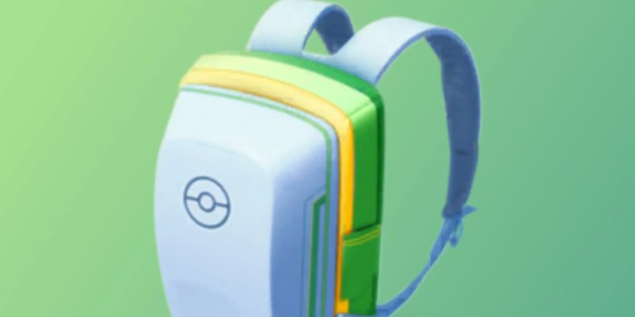 Bag pokemon trainer go