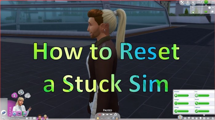 Sims reset stats sim