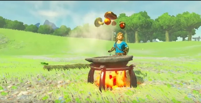 Cooking with fairy botw