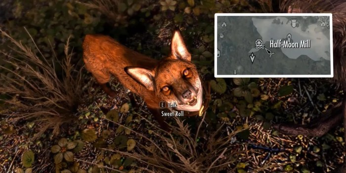 Pets of skyrim locations