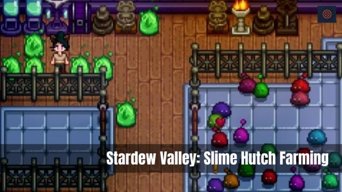 How to farm slimes stardew