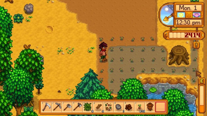 Stardew summer