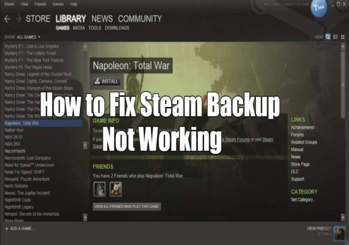 Steam backup not working