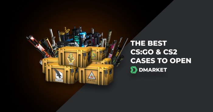 Cases cs go