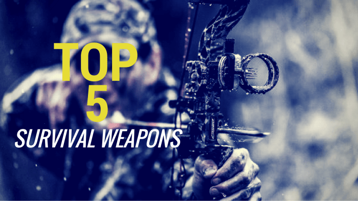 Best weapons for survival