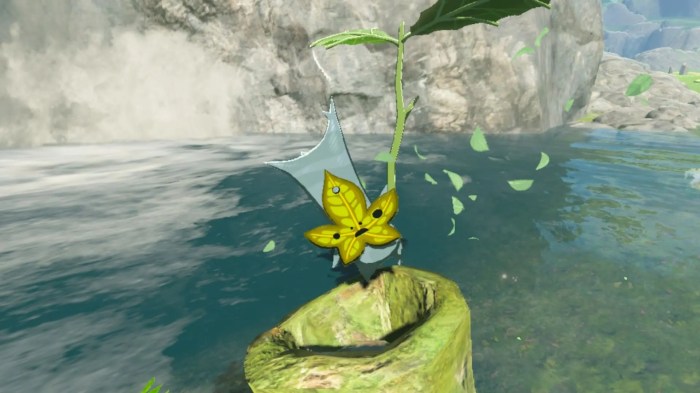 Korok addictive officially surfaced revealing