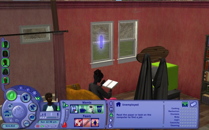 Sims 2 aspiration failure