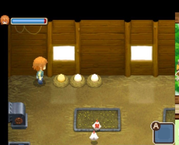 Harvest moon 64 chickens