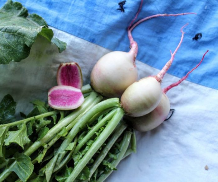 Best way to store turnips