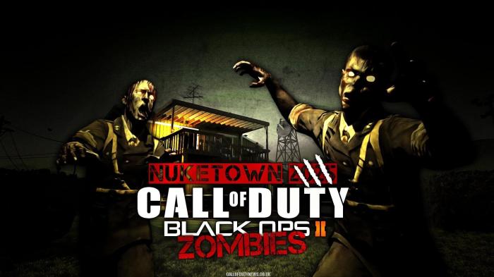 Black ops 2 zombies custom