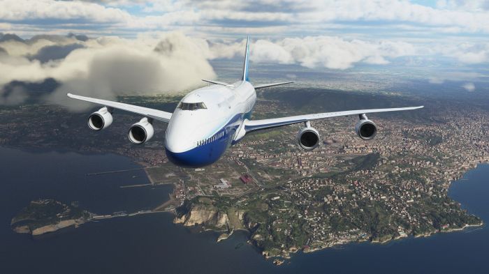 Microsoft flight sim down