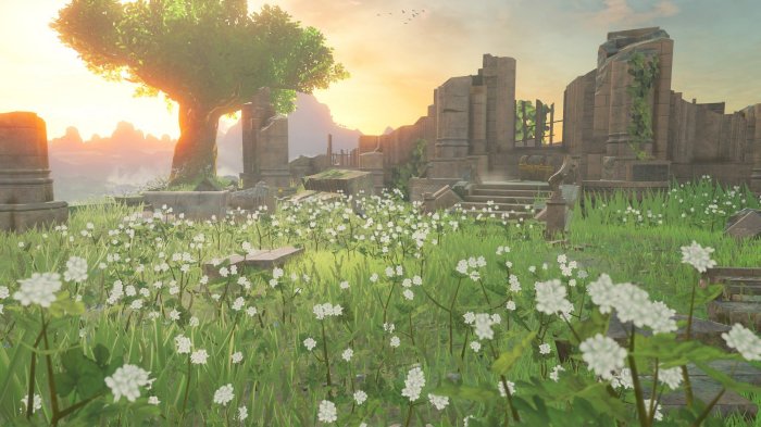 Breath of the wild flower